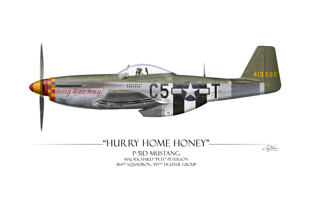 Hurry Home Honey Aviation Art Print - Profile