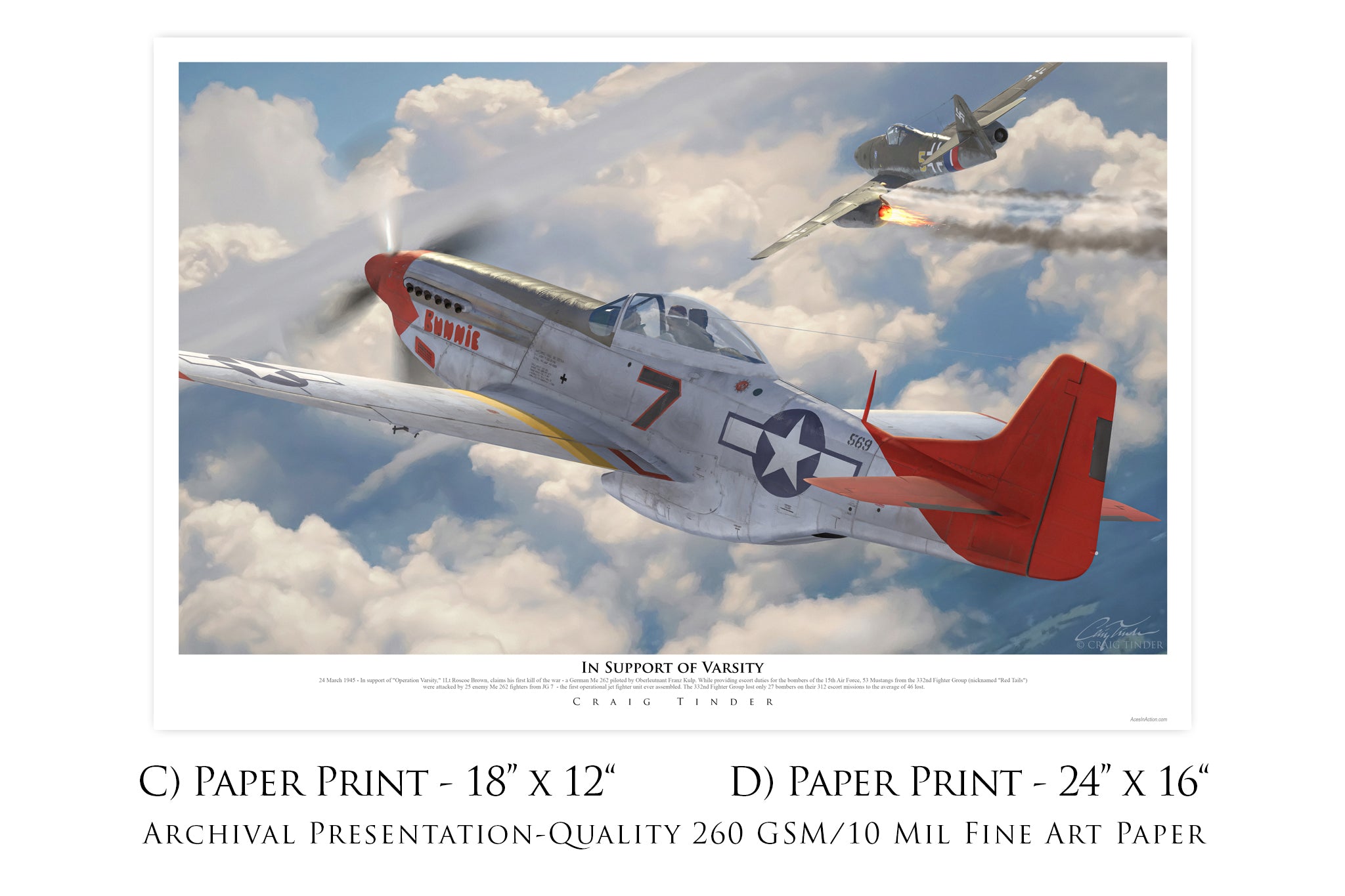 In Support of Varsity - P-51D Mustang Red Tails Canvas with P-51 Relic