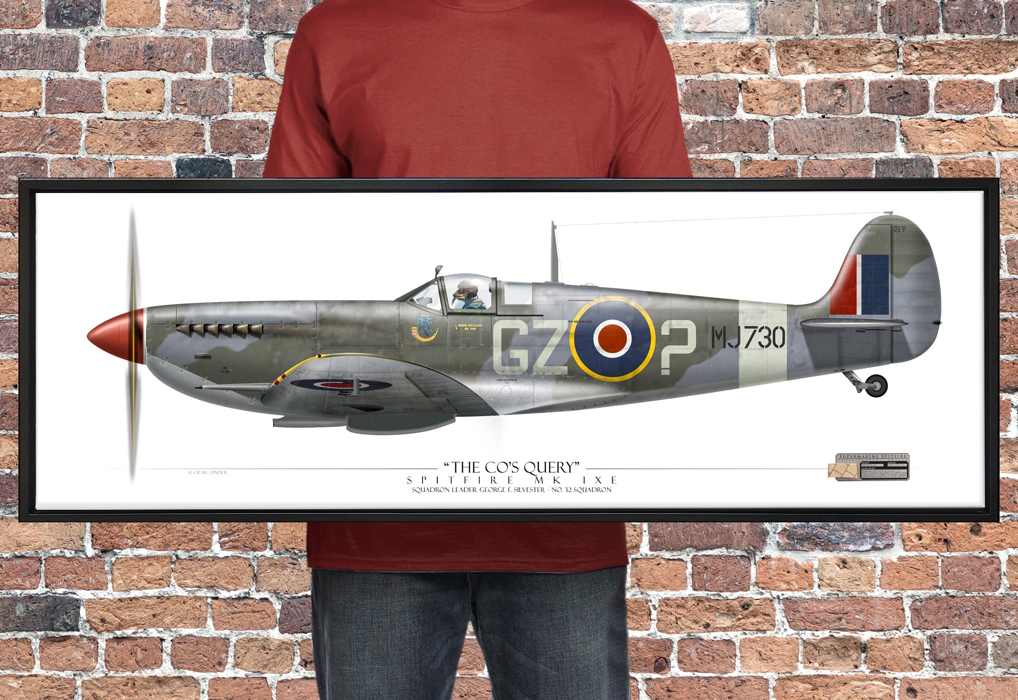 Spitfire Mk IXe - The CO's Query - Profile Canvas with Supermarine Spitfire Relic