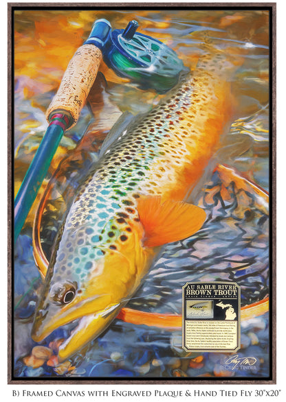 Au Sable River Brown Trout - Framed Canvas Shadowbox Art-Art Print-Aces In Action: The Workshop of Artist Craig Tinder