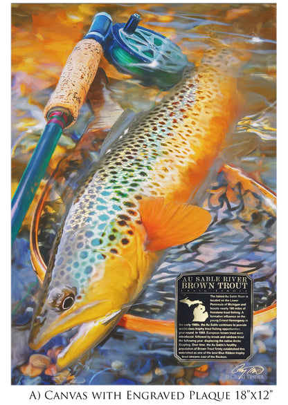 Au Sable River Brown Trout - Framed Canvas Shadowbox Art-Art Print-Aces In Action: The Workshop of Artist Craig Tinder