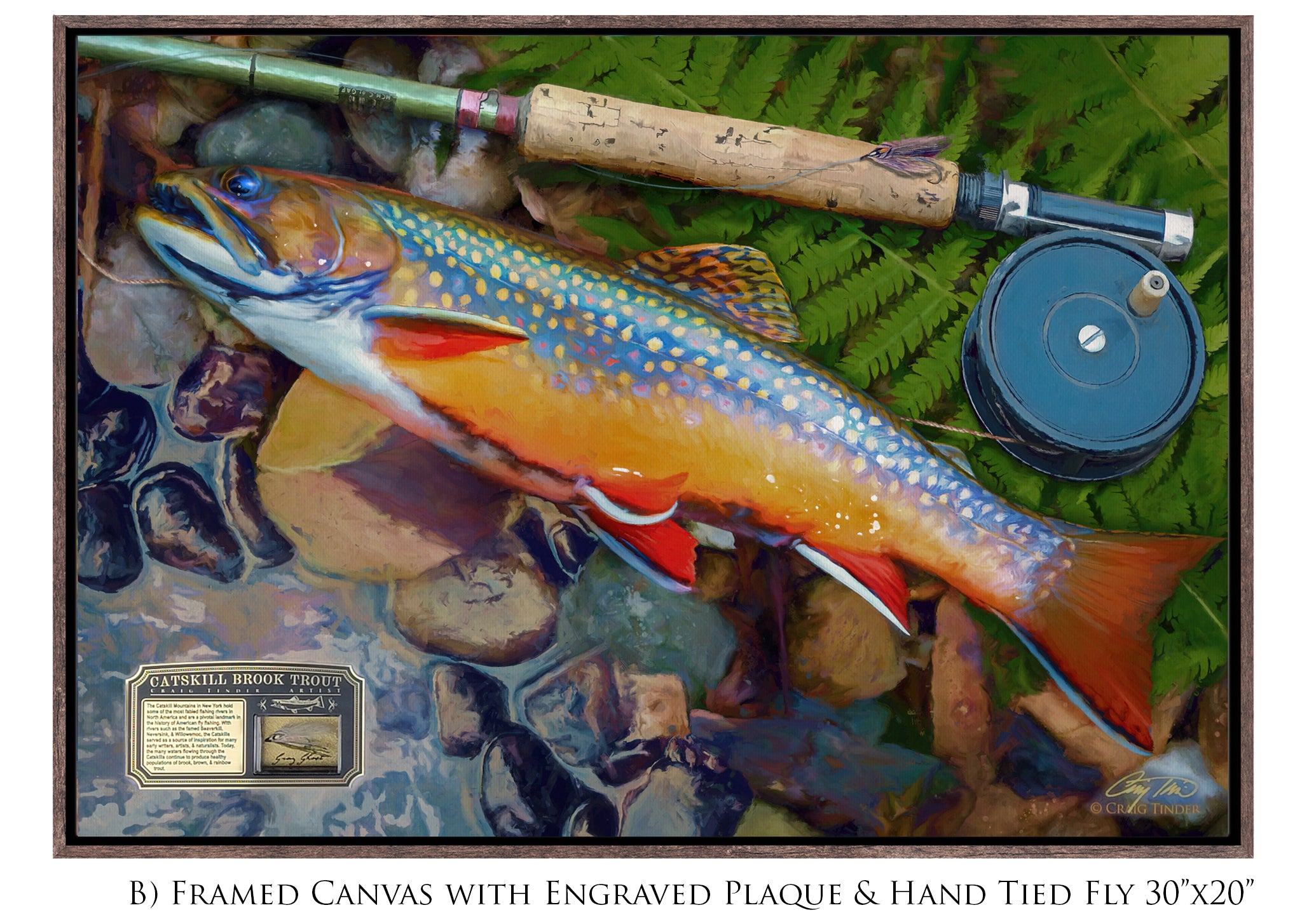 Catskill Brook Trout - Framed Canvas Shadowbox Art-Art Print-Aces In Action: The Workshop of Artist Craig Tinder