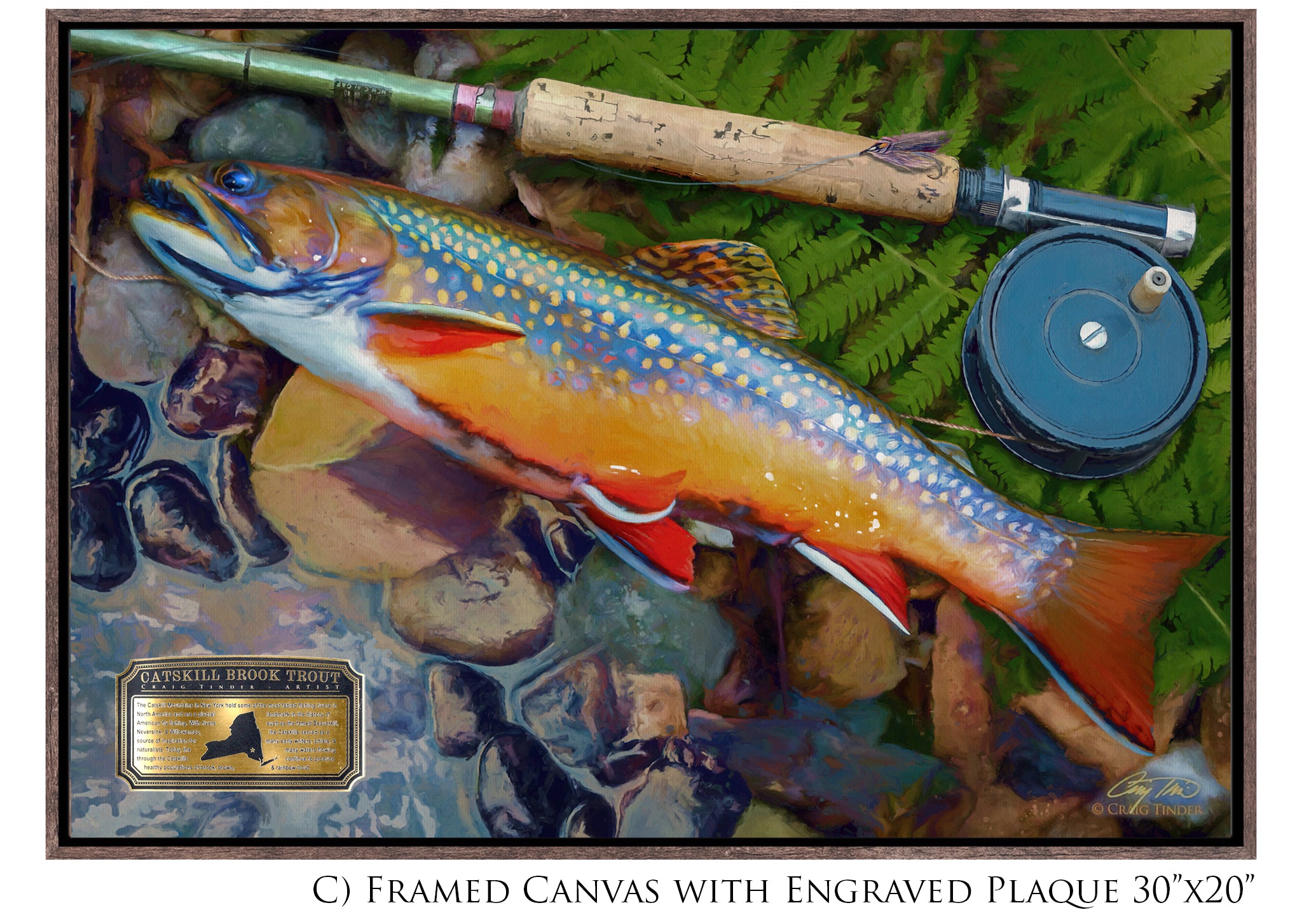 Catskill Brook Trout - Framed Canvas Shadowbox Art-Art Print-Aces In Action: The Workshop of Artist Craig Tinder